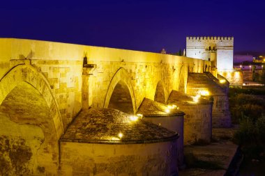 Roma köprüsü ve şehir kalesi, Cordoba Endülüs.