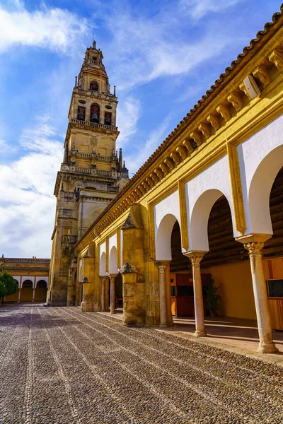 Věž Katedrály Nádvoří Pomerančovníků Cordoba Andalusia — Stock fotografie
