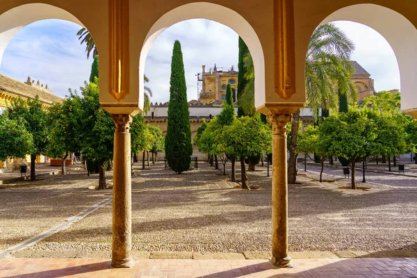 Oblouky Sloupy Terase Pomerančovníků Mešity Cordoba Andalusie — Stock fotografie