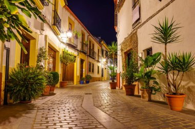 Gece atmosferinde eski evlerin, saksıların ve çiçeklerin olduğu resim gibi bir sokak. Cordoba İspanya.