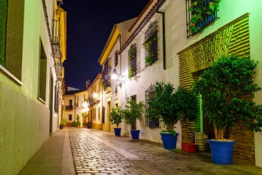 Gece atmosferinde eski evlerin, saksıların ve çiçeklerin olduğu resim gibi bir sokak. Cordoba İspanya.