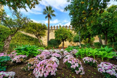 İspanya 'nın Alcazar de Cordoba duvarının yanında çiçek ve palmiye ağaçları olan bir bahçe..