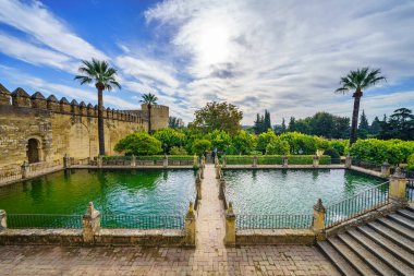 İspanya 'nın Alcazar de Cordoba kentindeki ortaçağ sarayında palmiye ağaçları ve tatlı su kaynaklarıyla dolu bahçeler.