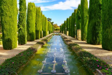 Alcazar de Cordoba bahçelerinde sıraya dizilmiş selvi ağaçlarının yanındaki tatlı su çeşmeleri. İspanya.