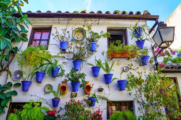 Typisk Andalusisk Fasad Med Blomkrukor Och Växter Cordoba Spanien — Stockfoto