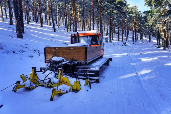 雪犁在雪地的森林小径上停了下来 Guadarrama马德里 — 图库照片