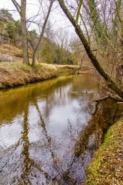 Sonbahar günü sakin bir nehirde ormanın yansımaları. Duraton, Segovia.
