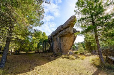 Ciudad Encantada, Cuenca 'da yüksek çam ağaçlarının yanında yüksek bir kaya oluşumu.