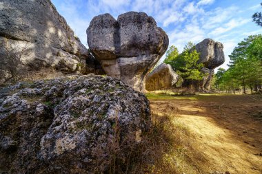 Ciudad Encantada Ulusal Parkı, Cuenca, İspanya 'da inanılmaz kaya oluşumları.