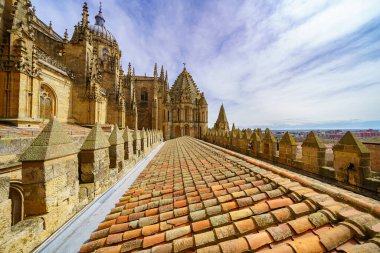 Çatıları ve gotik mimarisi ile Salamanca 'nın eski katedralinin üst manzarası.