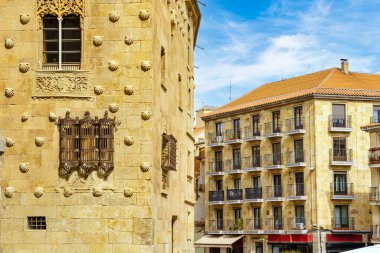 Casa de las conchas de Salamanca İspanya windows demir kapısı detay