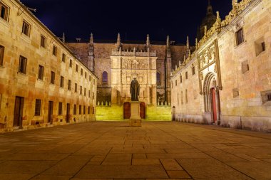 Salamanca Üniversitesi 'nin ortaçağ binalarının gece manzarası.