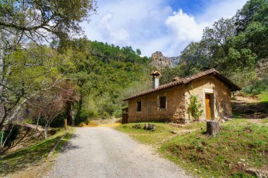 Ormanın içindeki dağda yemyeşil bitki örtüsü olan küçük taş bir ev..