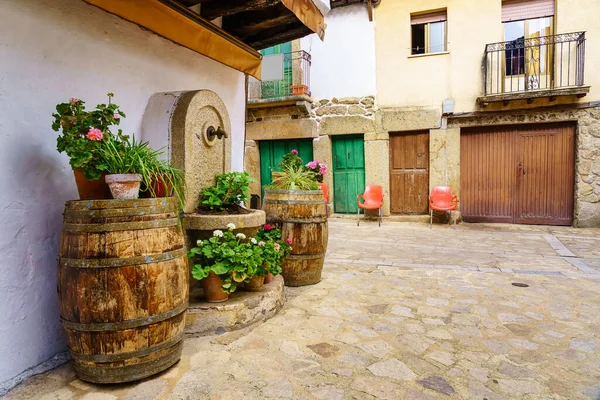 Παλιό χωριό με βαρέλια με φυτά και λουλούδια στο δρόμο, Sequeros, Salamanca. — Φωτογραφία Αρχείου