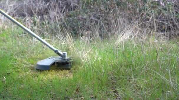 Weed cutter working in the field on a sunny day. — ストック動画