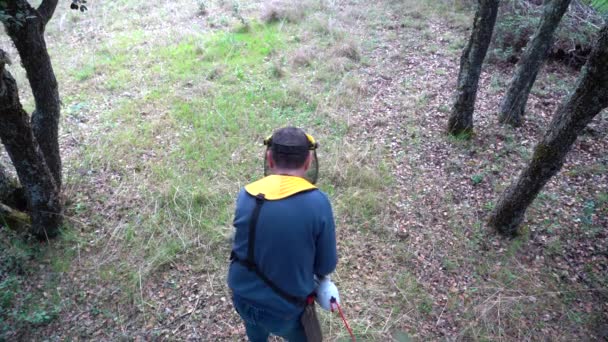 Man snijden van het gras van het veld met elektrische borstelsnijder. — Stockvideo