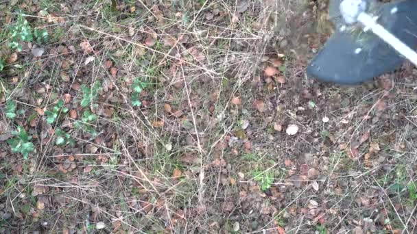 Weed cutter working in the field, seen from overhead plane. — ストック動画