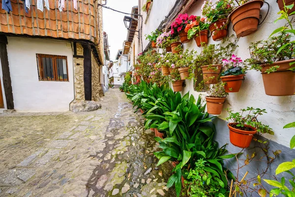 Enge Gasse voller Töpfe mit Pflanzen und Blumen an den Wänden, Hervas, Caceres. — Stockfoto