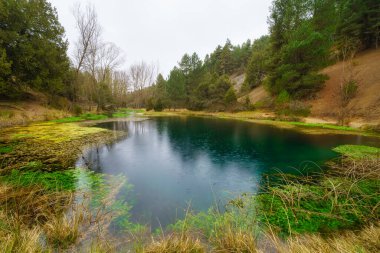 Yağmurlu bir günde, gizemli ormanda küçük bir göl, La Fuentona Soria..