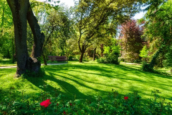 Campo del Moro Gardens in the Royal Palace of Madrid. — Foto de Stock