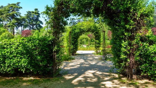 Arches of green and tangled plants in the Campo del Moro Park, Madrid. — 스톡 사진
