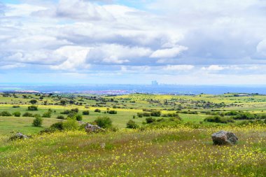 Madrid 'in yeşil kırsallı panoramik çiçekleri ve fırtınayla kaplı gökyüzü.