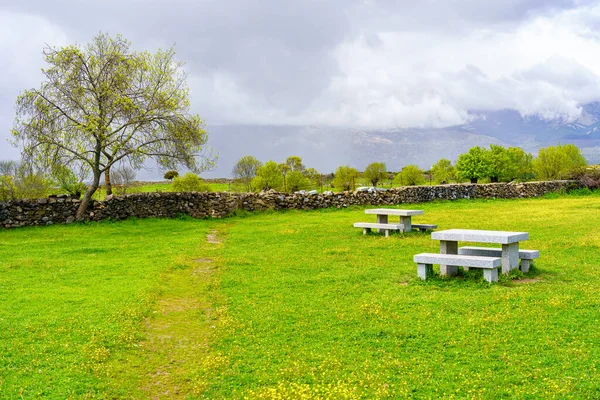 Stone benches to sit in the park of green grass and yellow flowers, Guadarrama Madrid. — Stock Photo, Image