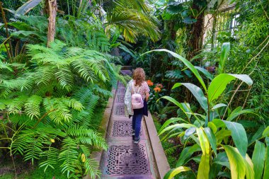 Kocaman yeşil bitkilerle büyük bir seranın içinde yürüyen bir kadın..