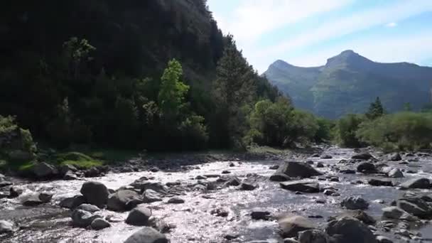 Река Чистой Пресной Воды Высокой Горе Бужуэло Пиренеи Испания — стоковое видео
