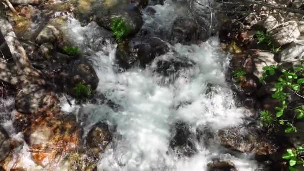 Ρεύμα Γλυκού Νερού Από Ένα Ορεινό Ρέμα Στα Βουνά Της — Αρχείο Βίντεο