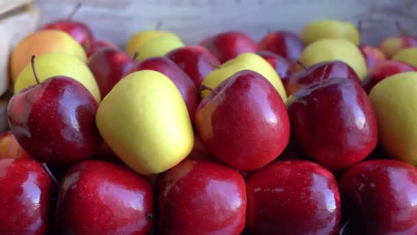 Багато Здорового Вигляду Червоних Жовтих Яблук Готові Їсти — стокове відео