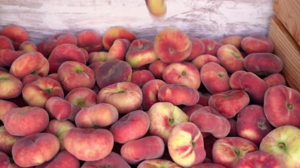 Muitos Pêssegos Paraguaios Caindo Cima Colheita — Vídeo de Stock