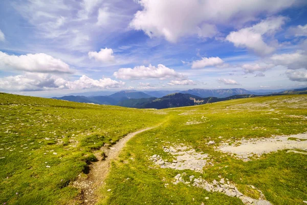 Path in the green meadow that leads to the high mountains of the Pyrenees, Spain