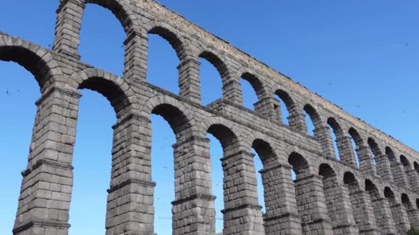 Segovias Roman Aqueduct Full Swallows Flying Sky Sunny Day — Stock videók