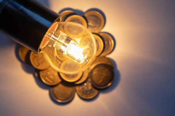 Low consumption ecological bulb on coins that represent the high cost of electricity