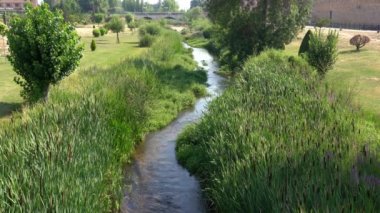Ucero Nehri, eski Burgo de Osma şehrine giriş yapan ortaçağ köprüsünün altından geçiyor.