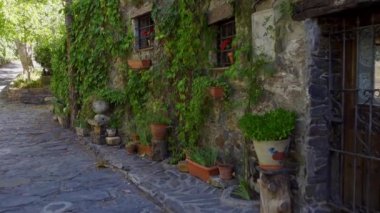 Beautiful old houses covered with ivy in medieval village. Patones de Arriba Madrid