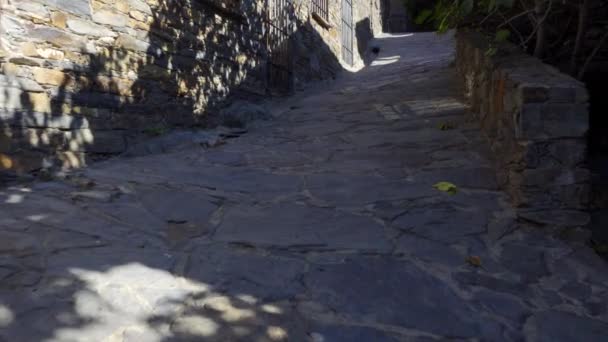 Small Alley Stone Mountain Village Stray Cat Wandering Streets — 图库视频影像