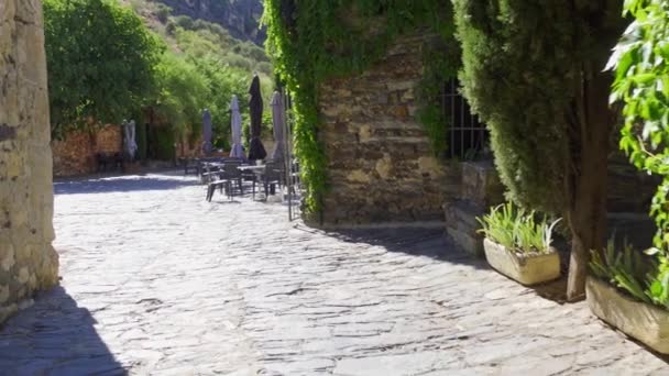 Small Alley Stone Facades Covered Green Ivy Spring Patones Arriba – Stock-video
