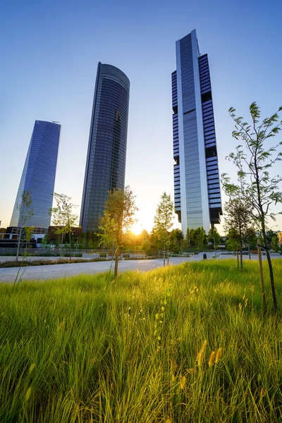 Skyscrapers Business Offices Madrid Dawn Sunny Day Grass Park Front — стоковое фото