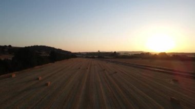 Aerial view of a drone over the field at sunset and sprinklers watering the planted corn, Spain