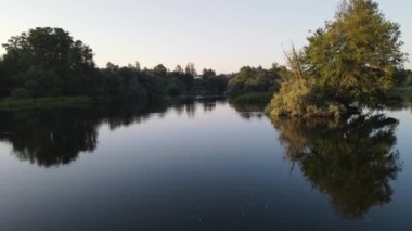 Calm water from a river with reflection of the trees and golden dawn light