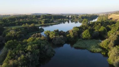 River of calm water between trees and vegetation on a clear day at sunrise