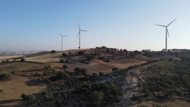 Windmills Hill Surrounded Fields Trees — Vídeos de Stock