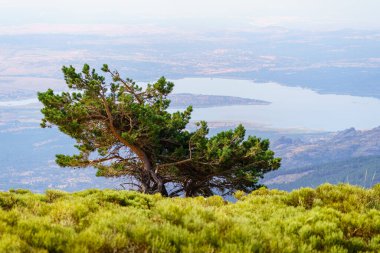 Green vegetation at the top of the mountain overlooking the valley where a large lake is located, Madrid, Spain