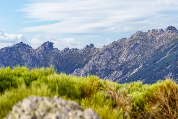 Rocky Mountains Community Madrid Close Green Plants Top Mountain Guadarrama — Fotografia de Stock