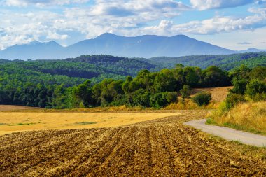Fields with mountains at the bottom of the sky with clouds at sunset on a summer day