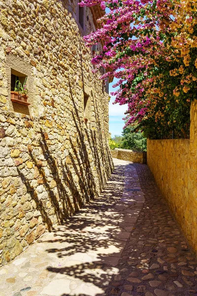 Picturesque alley with stone houses and flowers of different colors in Pals, Girona, Catalonia