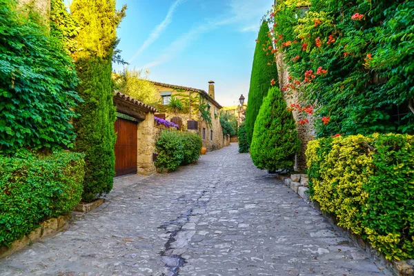 风景如画的小巷 有石头房子和鹅卵石地面 植物和藤蔓在金色的日落 Peratallada Girona 加泰罗尼亚 — 图库照片