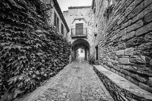 Alley with old stone houses and arch-shaped passageway at the end of the tunnel, Peratallada, Girona